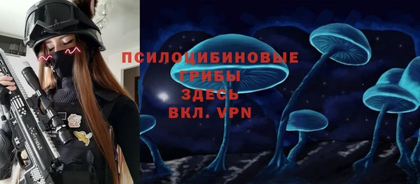 spice Кулебаки