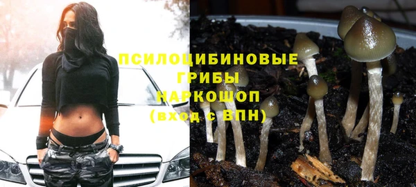spice Кулебаки