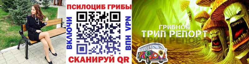 Купить где  Новая Ляля  Псилоцибиновые грибы мухоморы 